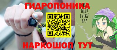 a pvp Кимры