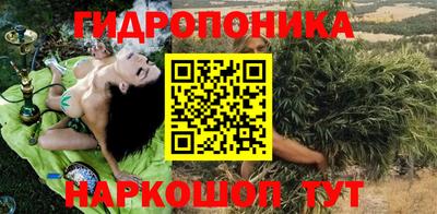эйфоретик Кингисепп