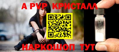 эйфоретик Кингисепп