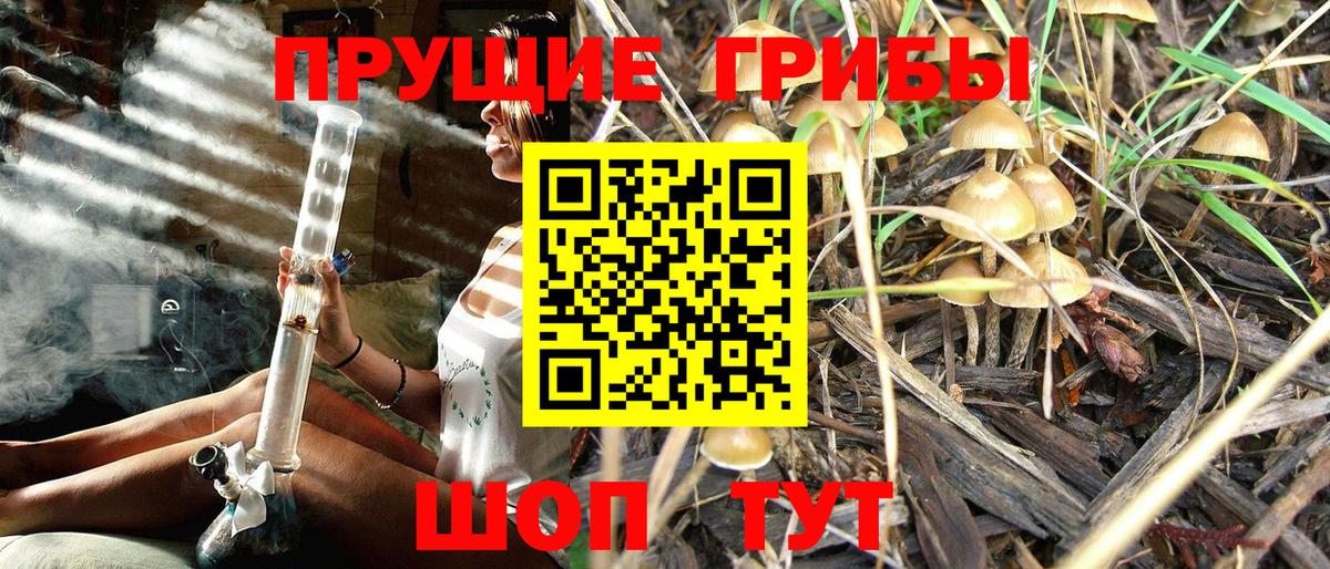 Галлюциногенные грибы Magic Shrooms Кемерово